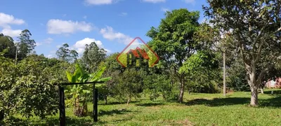 Fazenda / Sítio / Chácara com 1 Quarto à venda, 48000m² no Area Rural de Taubate, Taubaté - Foto 14