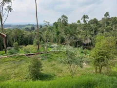 Fazenda / Sítio / Chácara com 4 Quartos à venda, 12800m² no Caucaia do Alto, Cotia - Foto 26