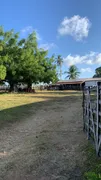 Fazenda / Sítio / Chácara com 3 Quartos à venda, 30000m² no Centro, Ceará Mirim - Foto 5