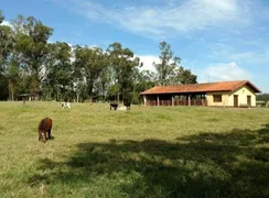 Fazenda / Sítio / Chácara com 2 Quartos à venda, 65m² no Zona Rural, Quadra - Foto 12