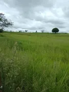 Fazenda / Sítio / Chácara com 2 Quartos à venda, 80000m² no Zona Rural, Jataizinho - Foto 4