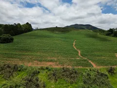 Fazenda / Sítio / Chácara com 4 Quartos à venda, 1350000m² no Zona Rural, Botelhos - Foto 5
