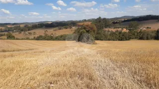 Fazenda / Sítio / Chácara com 1 Quarto à venda, 242000m² no Centro, Turvolândia - Foto 2