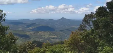 Fazenda / Sítio / Chácara com 2 Quartos à venda, 14m² no Zona Rural, Riozinho - Foto 35