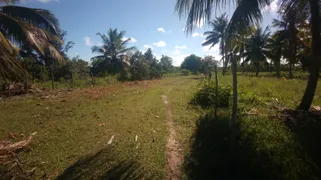 Fazenda / Sítio / Chácara à venda, 74000m² no Zona Rural, Conde - Foto 10