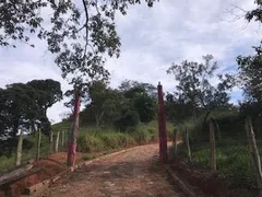 Fazenda / Sítio / Chácara com 3 Quartos à venda, 300m² no ,  - Foto 3