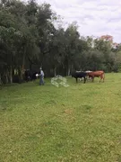 Fazenda / Sítio / Chácara com 3 Quartos à venda, 300m² no Passo da Areia, Viamão - Foto 8