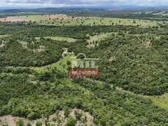 Fazenda / Sítio / Chácara com 4 Quartos à venda, 4259200m² no Zona Rural, Bom Jardim de Goiás - Foto 21