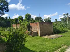 Fazenda / Sítio / Chácara com 2 Quartos à venda, 3000m² no Vera Cruz, Camaragibe - Foto 12