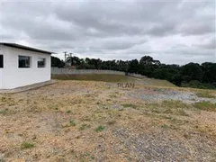 Terreno / Lote Comercial para alugar, 32759m² no Jardim das Colinas, Franco da Rocha - Foto 8