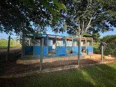 Fazenda / Sítio / Chácara com 3 Quartos à venda, 230m² no Zona Rural, São Sebastião do Oeste - Foto 11