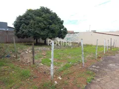 para alugar, 600m² no Pampulha, Uberlândia - Foto 1