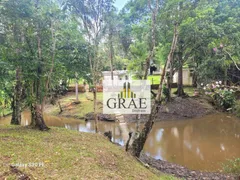 Fazenda / Sítio / Chácara com 3 Quartos à venda, 4000m² no Riacho Grande, São Bernardo do Campo - Foto 9