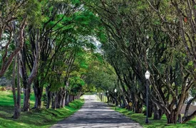 Terreno / Lote / Condomínio à venda, 1100m² no Jardim das Minas, Itupeva - Foto 4