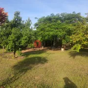 Fazenda / Sítio / Chácara com 5 Quartos à venda, 5000m² no Vila Azul, São José do Rio Preto - Foto 31