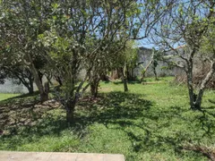 Fazenda / Sítio / Chácara com 5 Quartos à venda, 300m² no Cachoeira, Santa Isabel - Foto 4