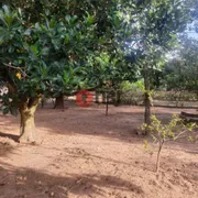Fazenda / Sítio / Chácara com 5 Quartos à venda, 5000m² no Vila Azul, São José do Rio Preto - Foto 39