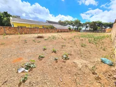 Terreno / Lote / Condomínio para venda ou aluguel, 1000m² no Jardim Atlântico, Belo Horizonte - Foto 7