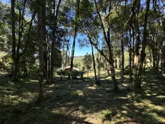 Fazenda / Sítio / Chácara à venda, 10000m² no Saltinho, Campo Alegre - Foto 7