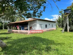 Fazenda / Sítio / Chácara à venda no Centro, São Félix do Xingu - Foto 3