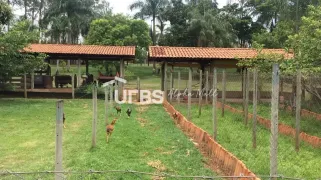 Fazenda / Sítio / Chácara com 4 Quartos à venda, 18516m² no Setor Garavelo Sul II, Hidrolândia - Foto 17