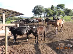 Fazenda / Sítio / Chácara com 6 Quartos à venda, 280000m² no Centro, Alpinópolis - Foto 21