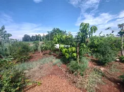 Fazenda / Sítio / Chácara com 4 Quartos à venda, 450m² no Centro, Mandaguaçu - Foto 13