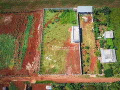 Fazenda / Sítio / Chácara com 1 Quarto à venda, 1250m² no Zona Rural, Cascavel - Foto 3