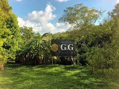 Fazenda / Sítio / Chácara com 3 Quartos à venda, 128m² no Martinica, Viamão - Foto 5