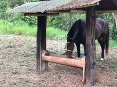 Fazenda / Sítio / Chácara com 4 Quartos à venda, 68000m² no Ribeirão de São Joaquim, Quatis - Foto 15