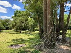 Fazenda / Sítio / Chácara com 3 Quartos à venda, 4001m² no Branquinha, Viamão - Foto 3