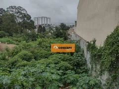 Terreno / Lote / Condomínio à venda, 2960m² no Vila Amélia, Poá - Foto 6