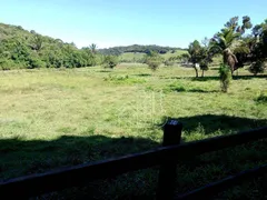Fazenda / Sítio / Chácara com 2 Quartos à venda, 500m² no , Silva Jardim - Foto 17