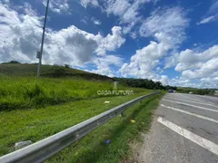 Terreno / Lote Comercial à venda, 341163m² no Casa de Pedra, Volta Redonda - Foto 2