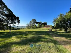 Fazenda / Sítio / Chácara à venda, 80m² no Vila Seca, Caxias do Sul - Foto 30