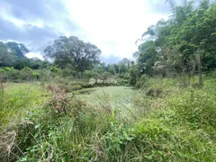 Terreno / Lote / Condomínio à venda, 242000m² no , Monte Belo do Sul - Foto 13