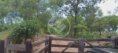 Fazenda / Sítio / Chácara à venda, 4m² no , Barão de Melgaço - Foto 5