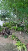 Fazenda / Sítio / Chácara com 3 Quartos à venda, 32000m² no Morro Grande, Araruama - Foto 56