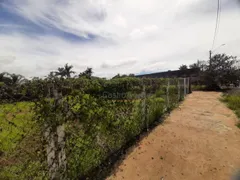 Terreno / Lote / Condomínio à venda, 463m² no Loteamento Residencial Jardim Florbela, Americana - Foto 5