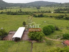 Fazenda / Sítio / Chácara com 3 Quartos à venda, 18488800m² no Zona Rural, Santana do Araguaia - Foto 2