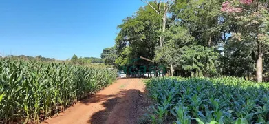 Fazenda / Sítio / Chácara à venda, 251500m² no Iguipora, Marechal Cândido Rondon - Foto 15