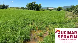 Fazenda / Sítio / Chácara com 1 Quarto à venda, 70000m² no Timbe, Tijucas - Foto 12