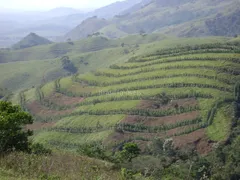 Terreno / Lote / Condomínio à venda, 20100m² no , Coronel Pacheco - Foto 22