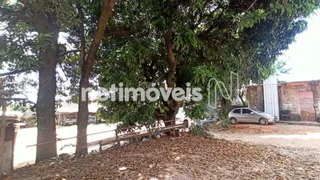 Terreno / Lote Comercial à venda, 1950m² no Nova Cachoeirinha, Belo Horizonte - Foto 18