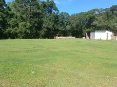 Fazenda / Sítio / Chácara com 1 Quarto à venda, 3200m² no Campina do Taquaral, São José dos Pinhais - Foto 2