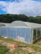 Fazenda / Sítio / Chácara à venda, 5700m² no Zona Rural, Mandirituba - Foto 27