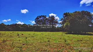Fazenda / Sítio / Chácara com 2 Quartos à venda, 120000m² no Zona Rural, Jaraguari - Foto 5