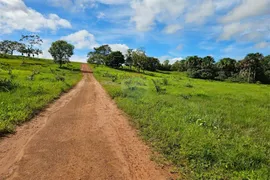 Fazenda / Sítio / Chácara com 2 Quartos à venda, 18035157m² no , Campos Lindos - Foto 16