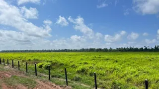 Fazenda / Sítio / Chácara com 3 Quartos à venda, 71150000m² no Celio Miranda, Paragominas - Foto 1