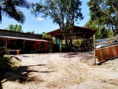 Fazenda / Sítio / Chácara com 2 Quartos à venda, 260m² no Conquista, Balneário Barra do Sul - Foto 5